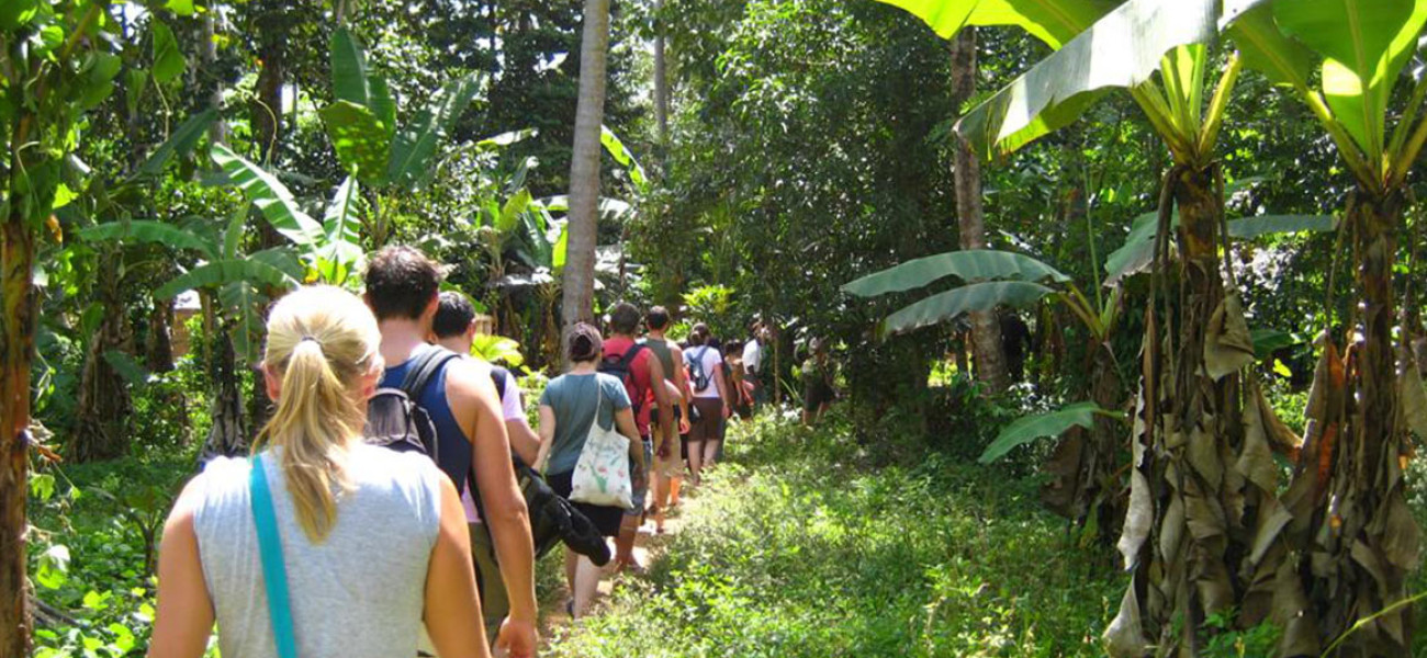About Love Adventure Safaris